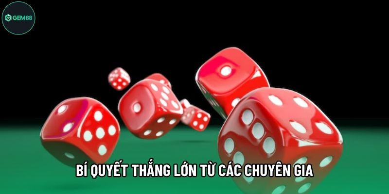 Bí quyết thắng lớn từ các chuyên gia