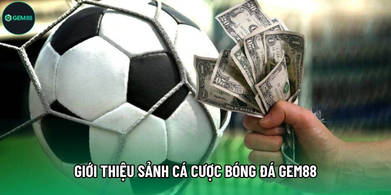 Giới thiệu sảnh Cá Cược Bóng Đá Gem88 Giới thiệu sảnh Cá Cược Bóng Đá Gem88