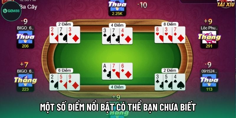 Một số điểm nổi bật có thể bạn chưa biết